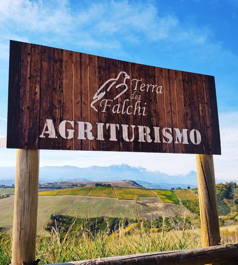 Agriturismo Terra Dei Falchi Castilenti Buitenkant foto