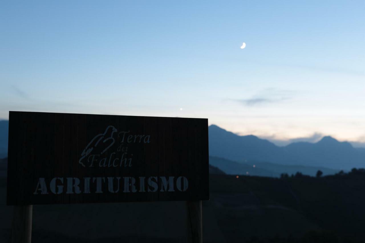 Agriturismo Terra Dei Falchi Castilenti Buitenkant foto